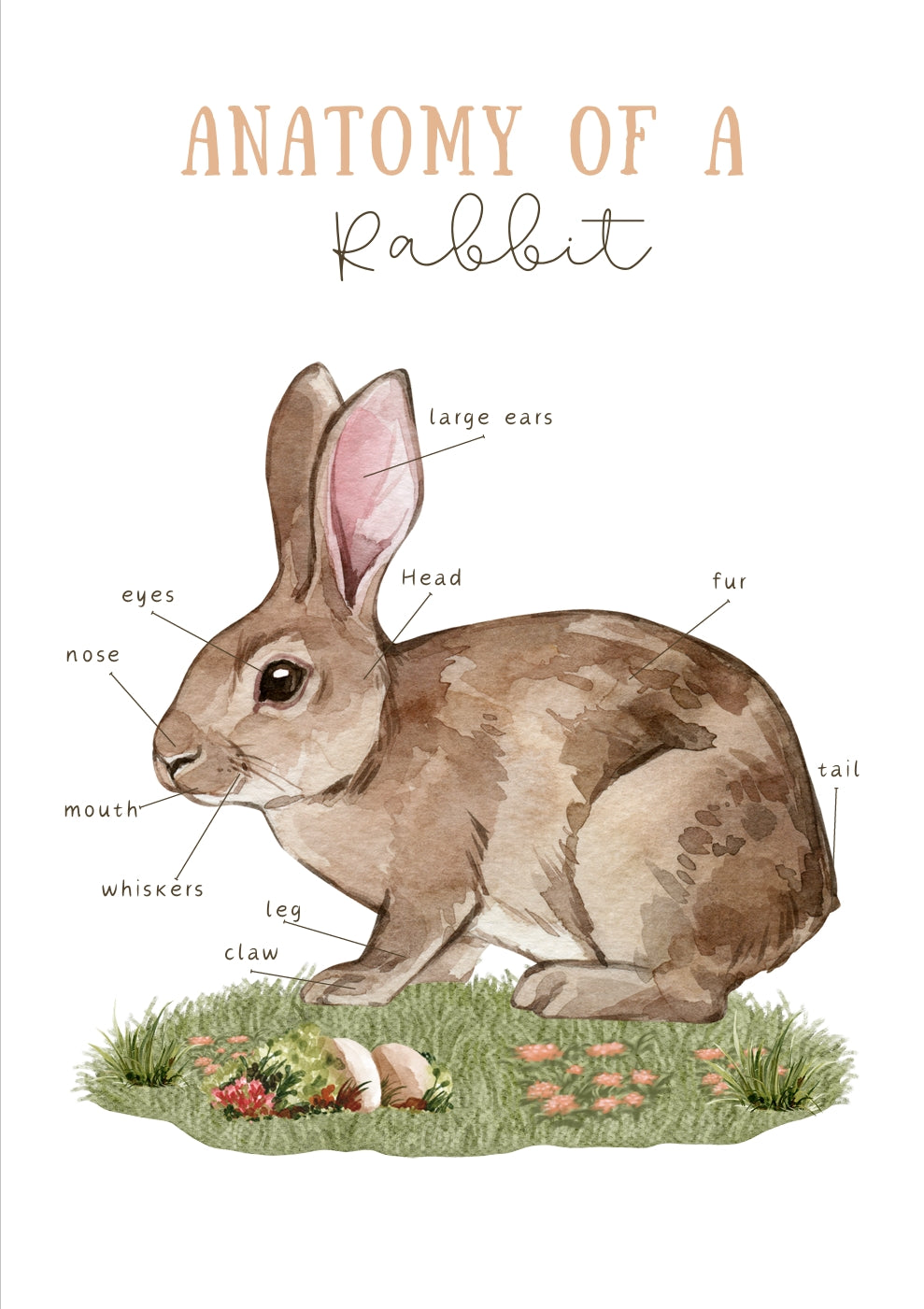 Easter Activity Kids + Easter Coloring Book